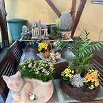 Apartamento Modernes 5 , 6 Und 7 In *