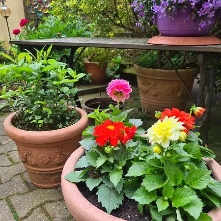 Apartman Modernes 5 , 6 Und 7 In Bochum