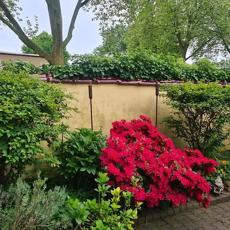 Modernes 5 , 6 Und 7 In Apartment Bochum