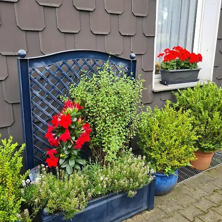 Modernes 5 , 6 Und 7 In *