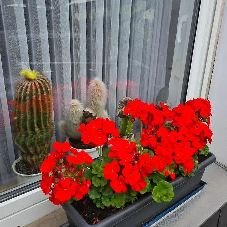 Appartement Modernes 5 , 6 Und 7 In