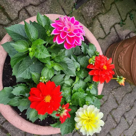 Modernes 5 , 6 Und 7 In * Bochum