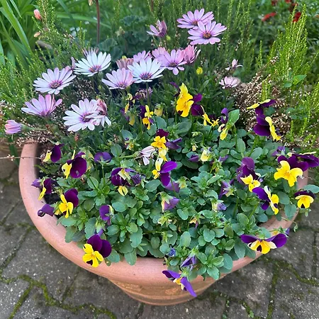 Modernes 5 , 6 Und 7 In Apartamento Bochum