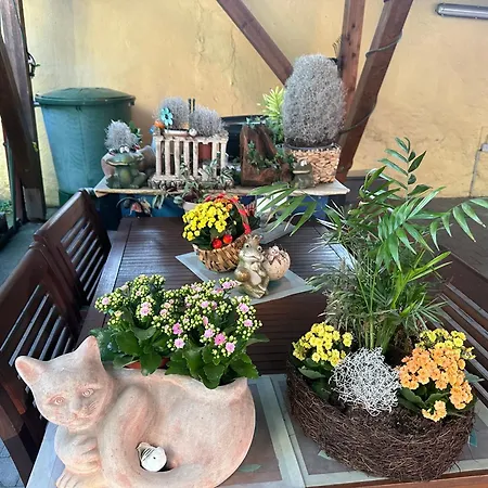 Appartement Modernes 5 , 6 Und 7 In *
