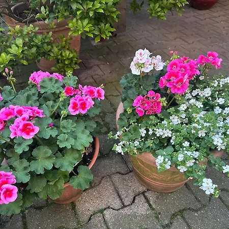 Modernes 5 , 6 Und 7 In Apartment *