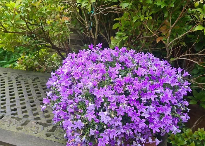 Apartamento Modernes 5 , 6 Und 7 In