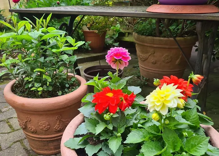 Apartamento Modernes 5 , 6 Und 7 In Bochum