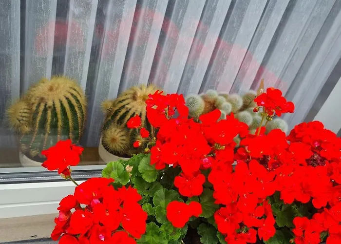 Apartamento Modernes 5 , 6 Und 7 In Bochum