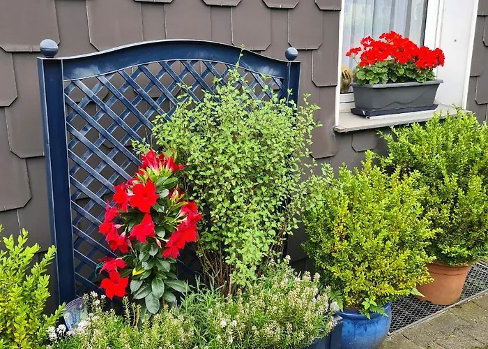 Modernes 5 , 6 Und 7 In *