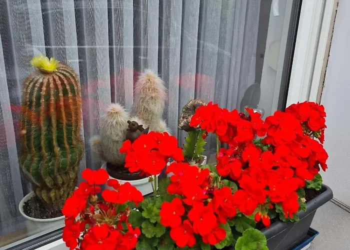 Apartamento Modernes 5 , 6 Und 7 In