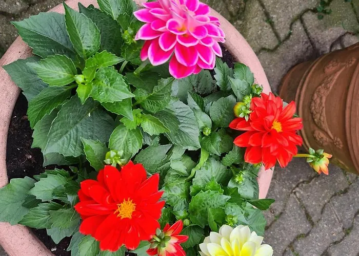 Modernes 5 , 6 Und 7 In * Bochum