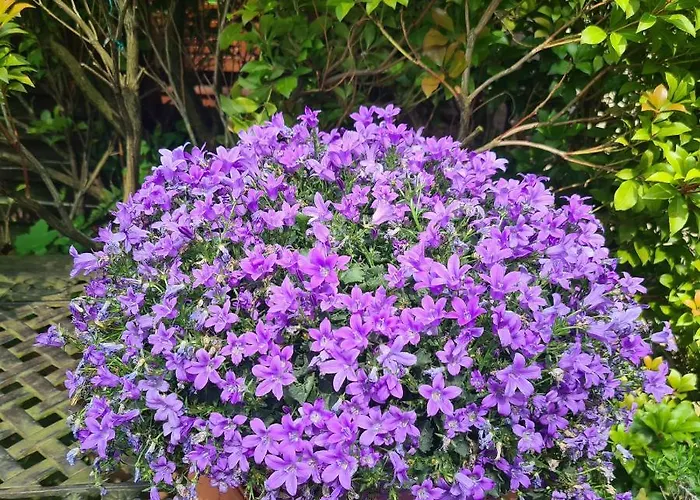 Modernes 5 , 6 Und 7 In Apartamento Bochum