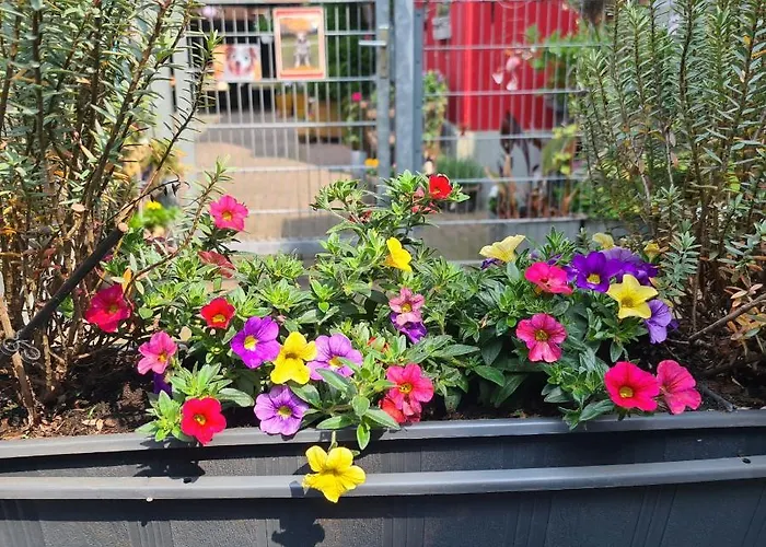 Modernes 5 , 6 Und 7 In * Bochum