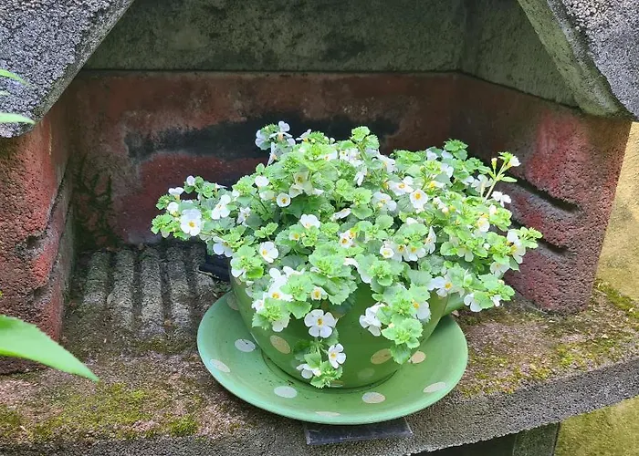 Modernes 5 , 6 Und 7 In * Bochum