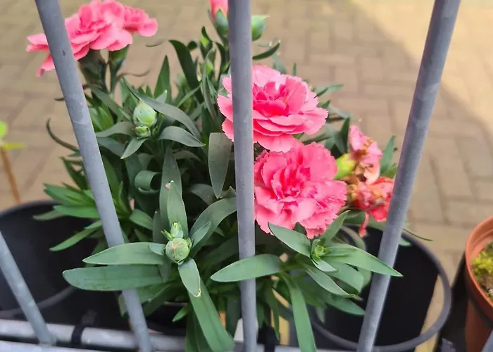 Modernes 5 , 6 Und 7 In Apartamento *