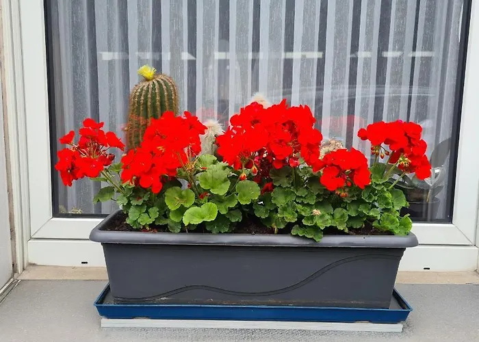 Modernes 5 , 6 Und 7 In *