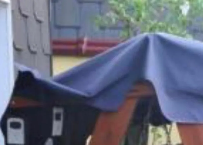 Modernes 5 , 6 Und 7 In