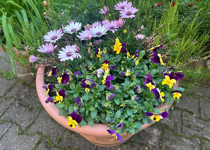 Modernes 5 , 6 Und 7 In Apartamento Bochum