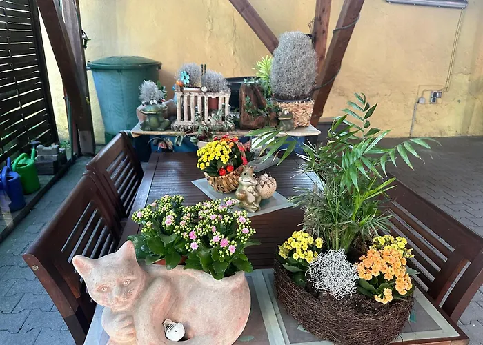 Apartamento Modernes 5 , 6 Und 7 In *