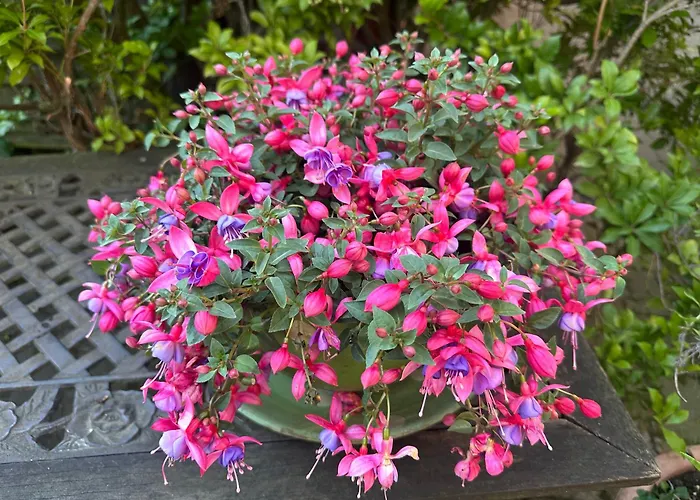 Apartamento Modernes 5 , 6 Und 7 In Bochum