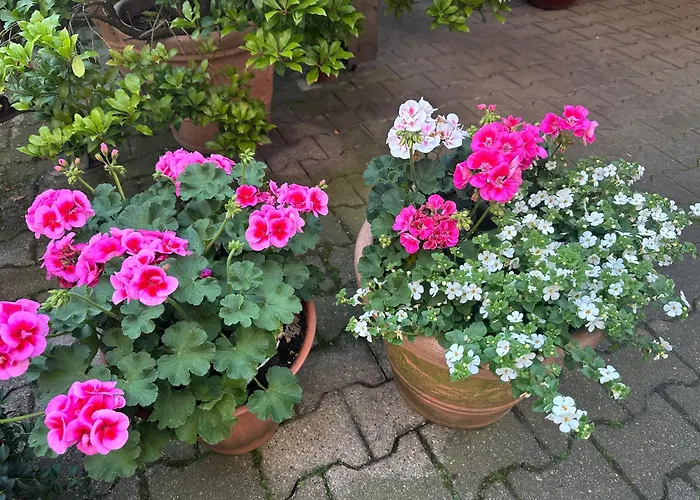 Modernes 5 , 6 Und 7 In Apartamento *