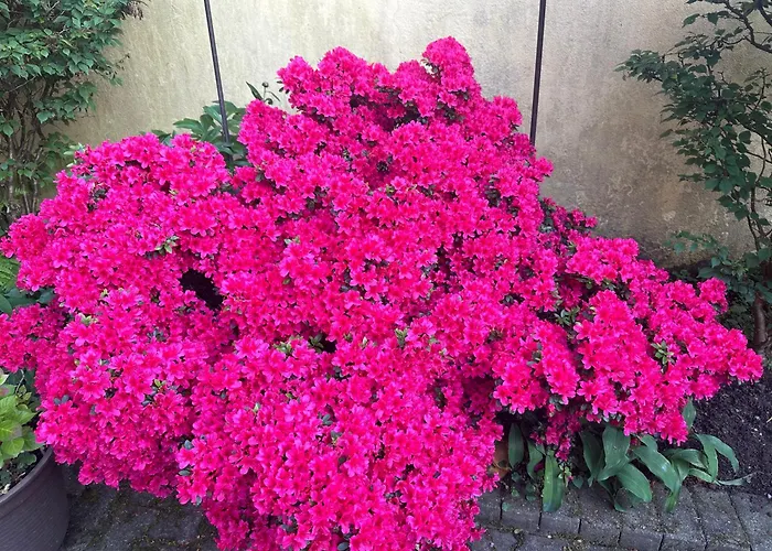 Modernes 5 , 6 Und 7 In Apartamento *